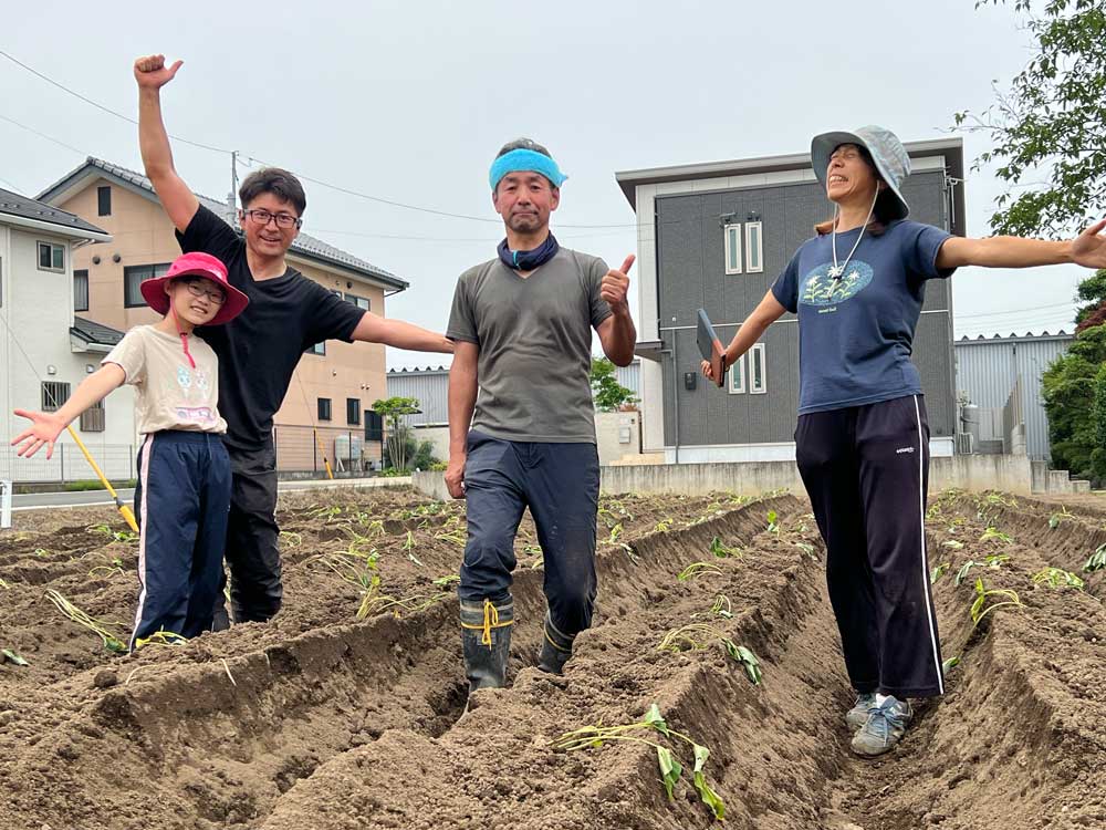 さつまいもイメージ