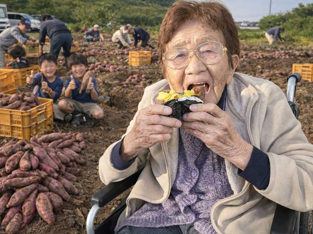 さつまいもイメージ