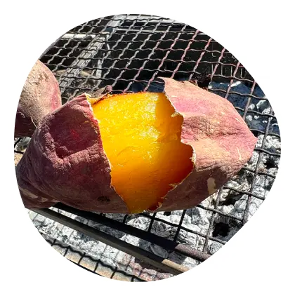 さつまいもイメージ